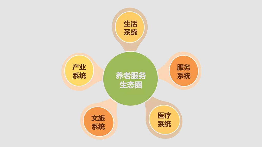 打造養(yǎng)老數(shù)字化平臺 賦能養(yǎng)老行業(yè)規(guī)?；l(fā)展(圖10)